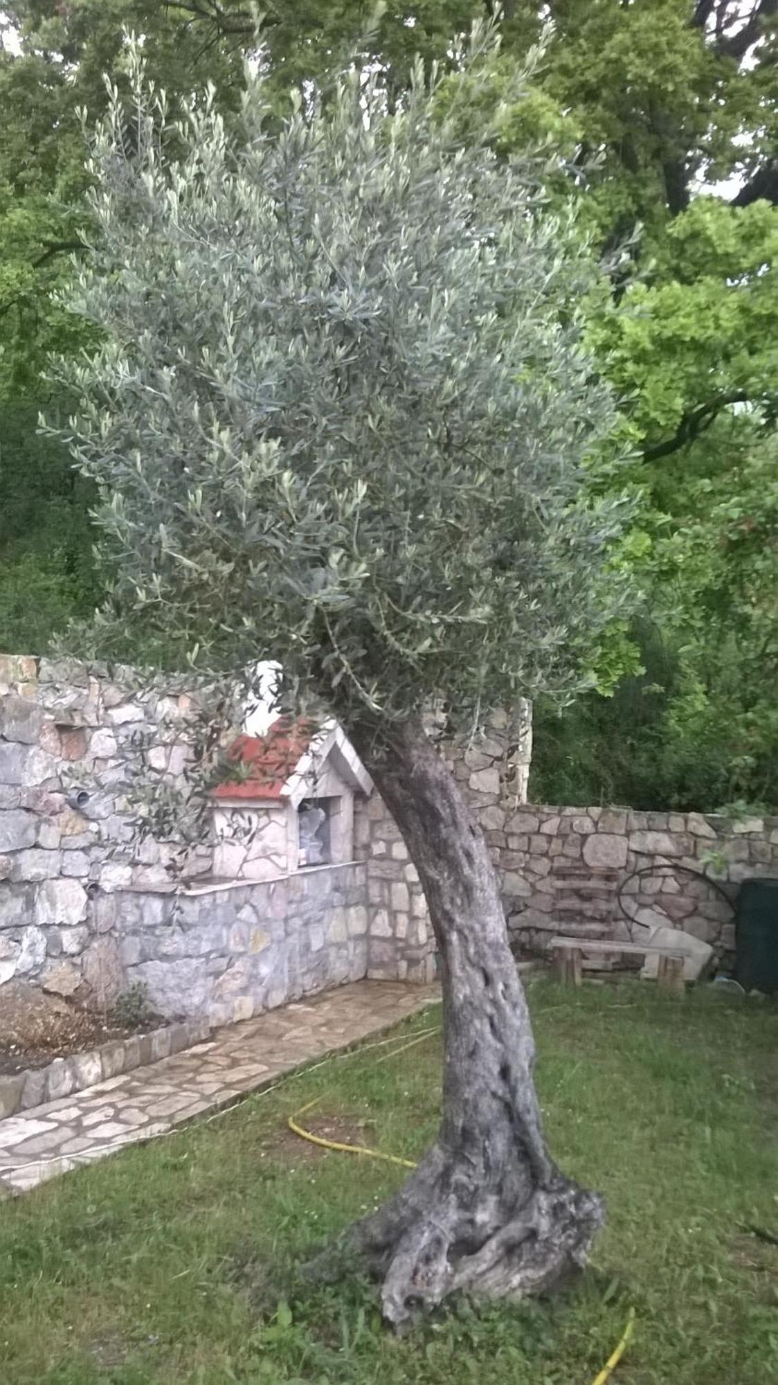 House Stijepovic Villa Petrovac Cameră foto